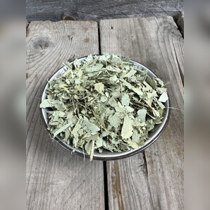 Eukalyptus - Räucherwerk 10g