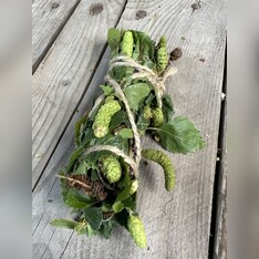 Räucherstick Birke 1Stck.