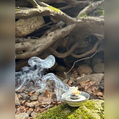 Bio Räuchermischung „Geborgenheit“ 10g