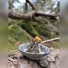 Bio Räuchermischung „Leidenschaft“ 10g