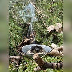 Bio Räuchermischung „Waldbaden“ 10g
