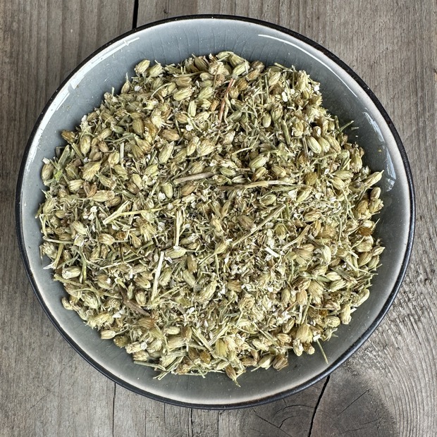 Räucherkraut Schafgarbe