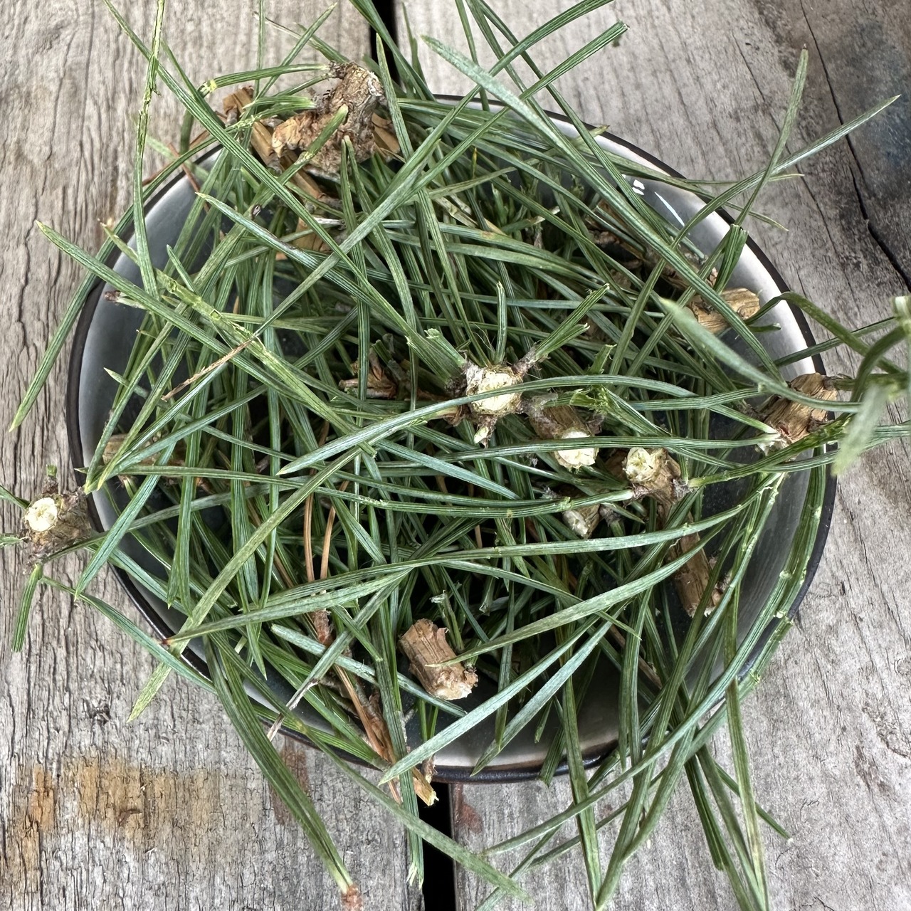 Räuchernadeln Kiefernnadeln