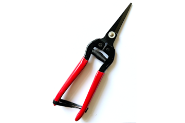 Tomatenschere zum Ausgeizen, Beschneiden & Ernten