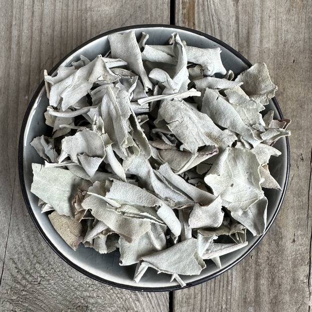 Räucherkraut Weißer Salbei