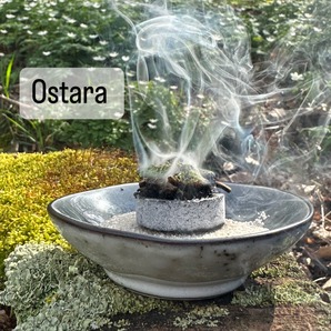 Ostara - Räuchermischung 10g
