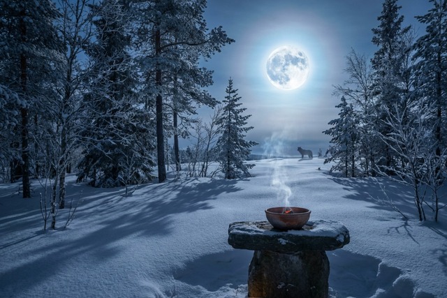 Bild von Wolfsmond: Vollmond Januar | RAUCHFEIN Blog