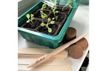 Anzuchtschalen Set [Kunststoff] & Pikierstab aus Holz