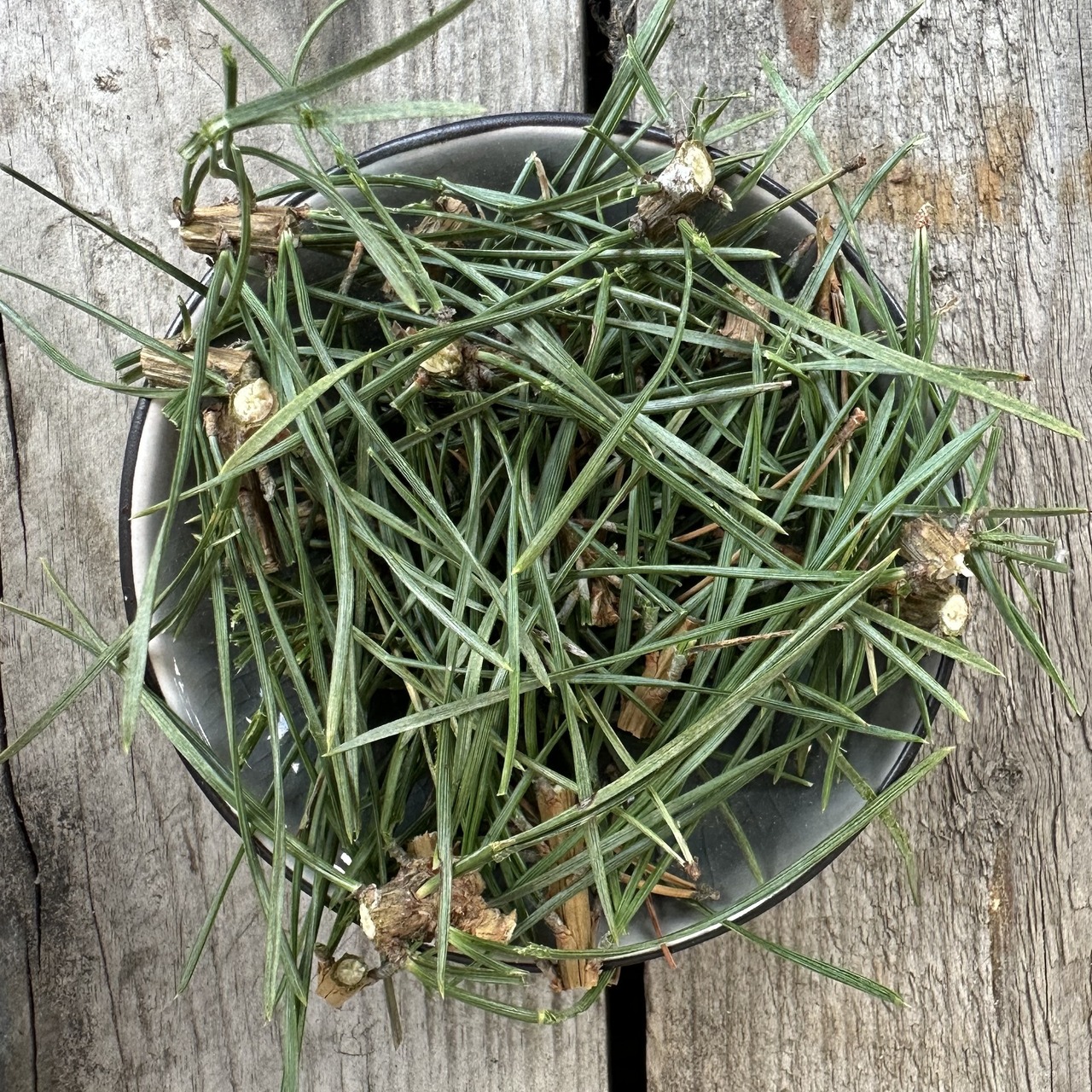 Räuchernadeln Kiefernnadeln