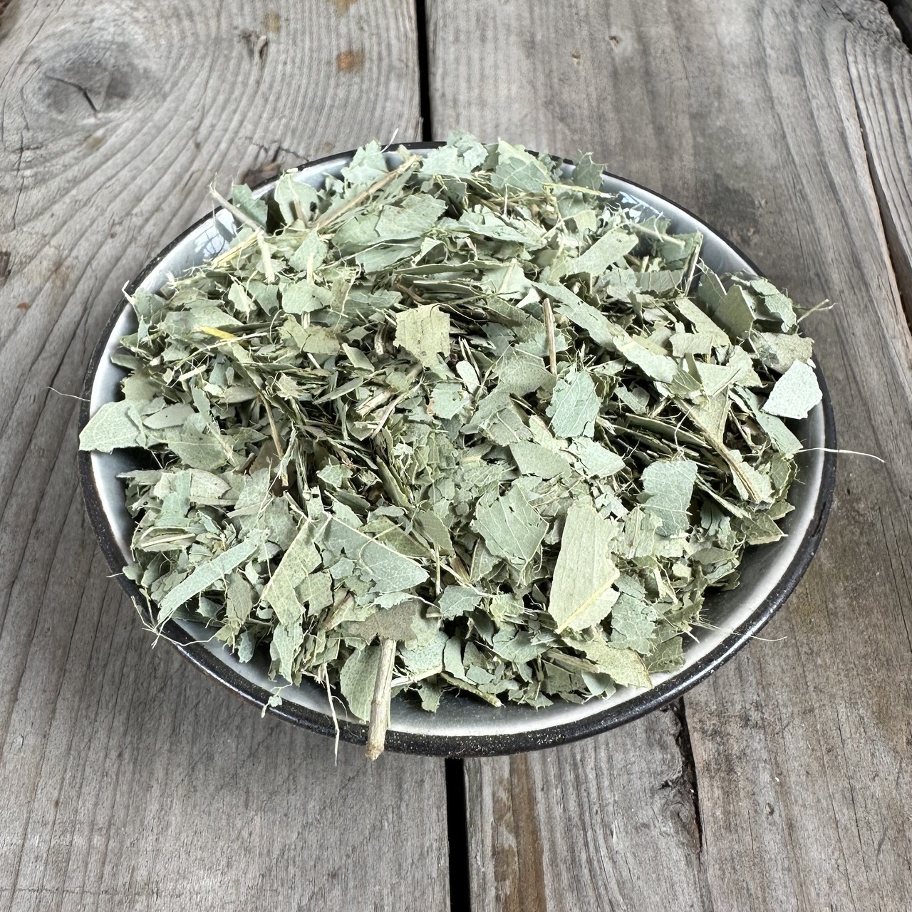 Räucherkraut Eukalyptus