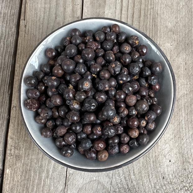 Räucherfrucht Wacholderbeeren